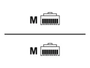Black Box - Patch cable - RJ-45 (M) to RJ-45 (M) - 10 ft - foiled unshielded twisted pair (F/UTP) - CAT 6 - booted, solid - red C6S-R-SB-SLD-RD-10