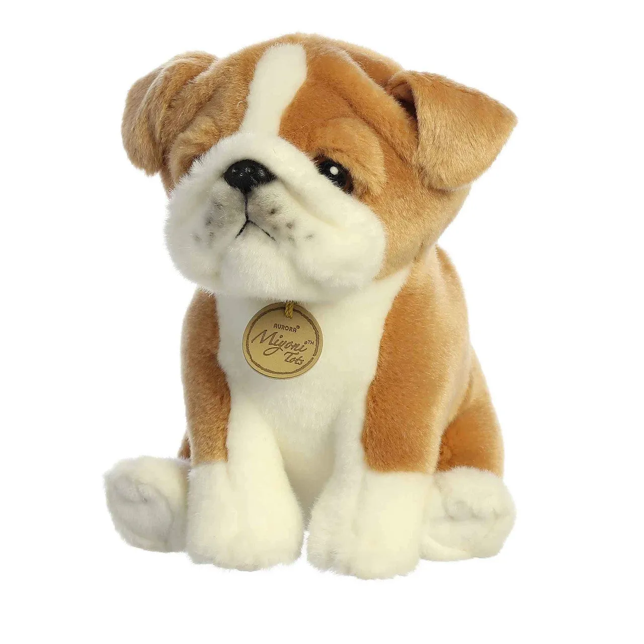 Bulldog Pup