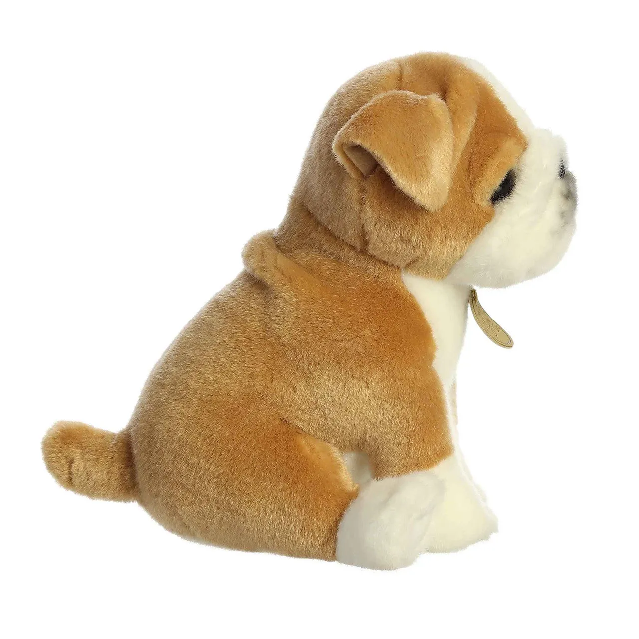 Bulldog Pup