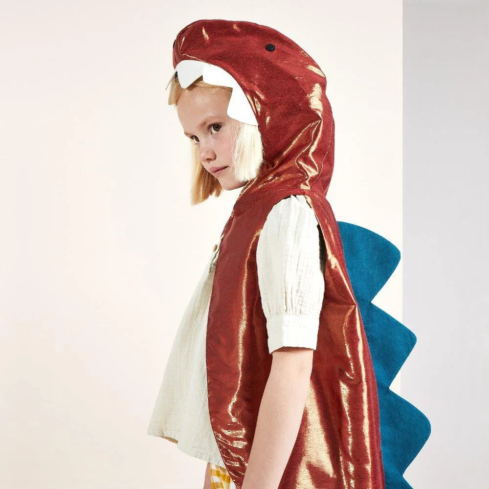 Dinosaur Costume