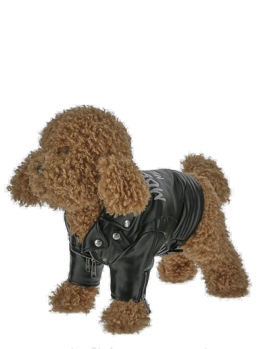 Moschino Logo Printed Dog Biker Jacket